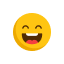 smiley icon